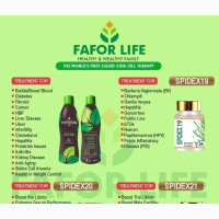 Supplement