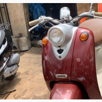 New Honda Forza 2022 Brown