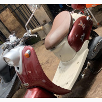 New Honda Forza 2022 Brown