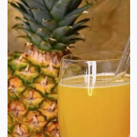 Sweet Pineapple Suckers Hybrid