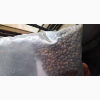 Miracle Seed