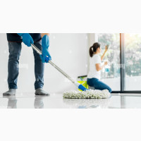 House Helper Wanted