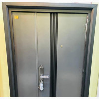 Sleek Plain Luxury Security Steel Doors