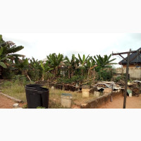3 Bedroom Flat on DPC Level Filled on 50ftx100ft