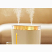 Humidifier 2L