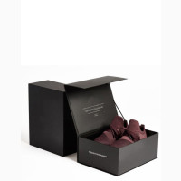 Fancy Wrist Watch Box for at Ogba