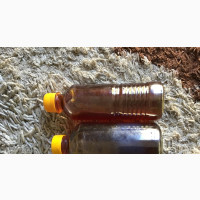 Raw Organic Honey