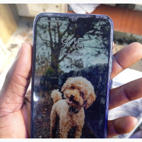 Xiaomi Redmi Note 7 64 GB Purple