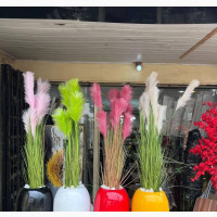 Luxury Sea Fibre Potted Plants