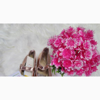 Girls Chagne Gold Shoes - Brand New, Size 32