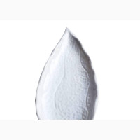 1 PCS Unbreakable Fish Plate