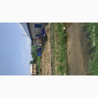 250 SQM Dry Land