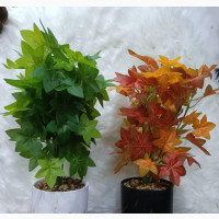 Decoration Flowers