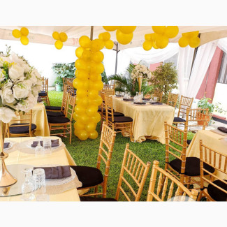 Petunia Events - Your Dream Wedding Planner