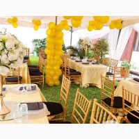 Petunia Events - Your Dream Wedding Planner