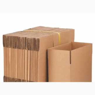 Carton Box for Food Movement
