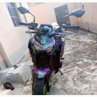 Kawasaki Z900 2020