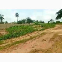 Buy 1 Plot of Land at Epe, Lagos (Affordable Fast Selling)