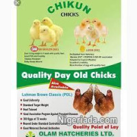Chikun and ultima feeds for sale
