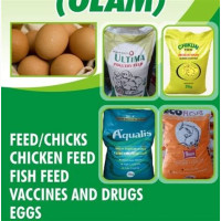 Chikun and ultima feeds for sale