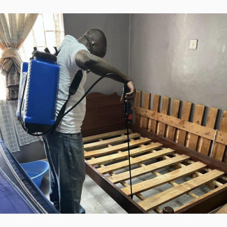 Effective Bed Bug Fumigation Service