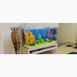 Custom Made Rectangle Aquarium