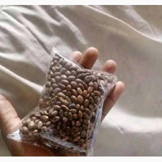 Miracle Seed/Ghana For Weight Loss