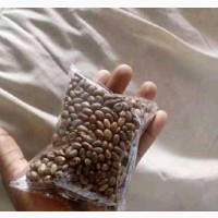 Miracle Seed/Ghana For Weight Loss