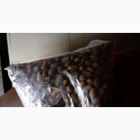 Miracle Seed/Ghana For Weight Loss