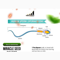 Miracle Seed Powder