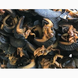 Dried Snail Sales