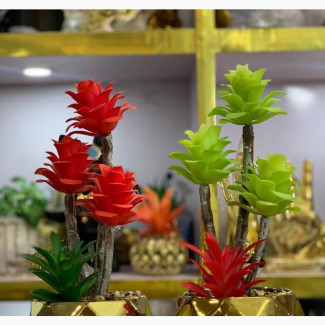 Gold Pot Island Flowers