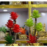 Gold Pot Island Flowers