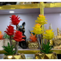 Gold Pot Island Flowers