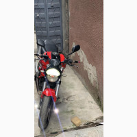 Ducati 2014 Red