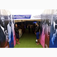 Artificial Grass Carpet