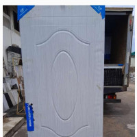 Toilet and Room American Panel Door