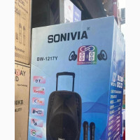 Sonivia 12 Inches Rechargeable PA System