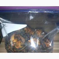 Fresh and Dried Snail