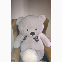 Lifesize Teddy