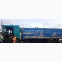 Direct Belgium Man Truck