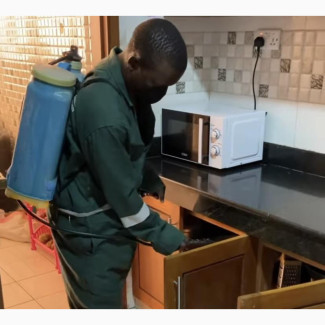 Pest Control Service
