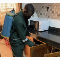 Pest Control Service