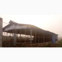 Poultry for Lease at Itori - Spacious and Furnished