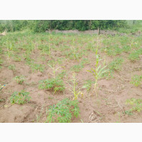 Plot of Land with 3-Bedroom Flat Foundation