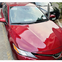 Toyota Camry XLE (2.5L 4cyl 8A) 2019 Burgundy
