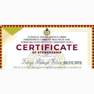 Professional Certificate Designs - OSTECHNOLOGY