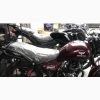 New Denstar Taurus 2020 Brown