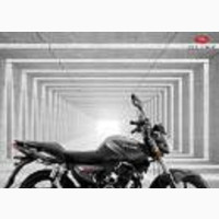 Qlink XF 200 2020 Black - Strong and Elegant Cruiser Bike