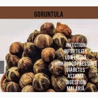 Gorontula Fruits - Miracle Fruit for Sexual Health